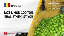 Taze limon 100 ton ithal etmek istiyor