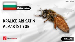 Bulgaristan, Kralice arı satın almak istiyor
