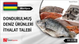FROZEN SEAFOODS REQUIRED TO IMPORT TO MAURITIUS