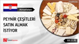 CROATIAN COMPANY WANT TO IMPORT CHEESE PRODUCTS
