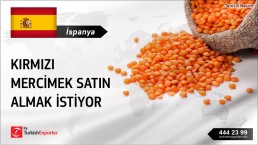 RED LENTILS PURCHASE DEMAND FROM SPAIN