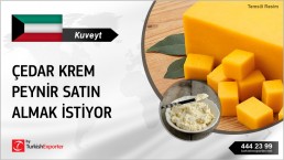 CHEDDAR CREAM CHEESE IMPORT TO KUWAIT