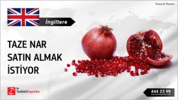 FRESH POMEGRANATE REQUESTED TO IMPORT TO UNITED KINGDOM
