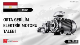 MV ELECTRIC MOTOR OFFER REQUIRED IN EGYPT