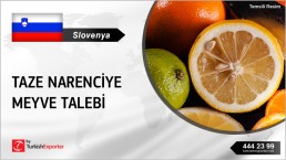 FRESH CITRUS FRUITS OFFER REQUEST FROM SLOVENIA