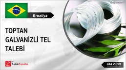 ELECTRO GALVANIZED IRON WIRES INQUIRY FROM BRAZIL