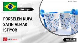 PORCELAIN MUGS AND CUPS PRICE INQUIRY FROM BRAZIL