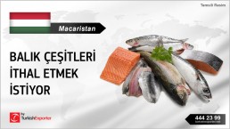 FRESH FISH SEVERAL KINDS WHOLESALE SUPPLY TO HUNGARY