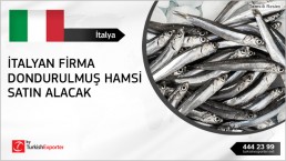 Frozen whole anchovy to import in Italy