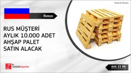 Wooden Pallets – Russia
