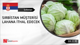 Need Supplier Of Cabbage 4 trucks monthly – Serbia
