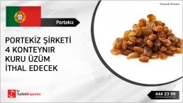 Turkish Raisin Dried Grapes