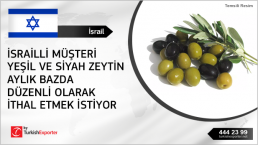 Olives wholesale importing