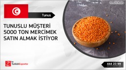Pulses importing to Tunisia