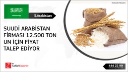 Wheat flour import request – United Arab Emirates