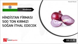 Inquiry for Red Onions to import to India