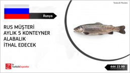 Russia import regular basis – trout