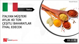 Italy – spices to import