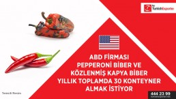Canned vegetables import to USA