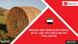Alfalfa importing request – United Arab Emirates