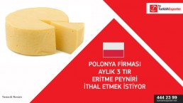 Cheese analogue import request – Poland