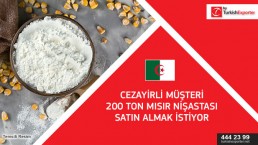Wholesale import – Corn starch – Algeria