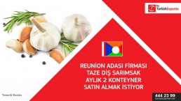 Fresh white garlic importing to Reunion Island