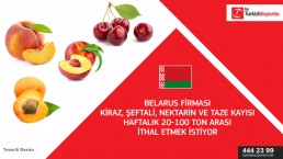 Fresh fruits and vegetables importing to Belarus