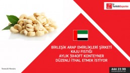UAE importing cashew nuts