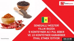 Dry red chilli – want to buy – Senegal