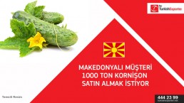 Quotation for Fresh gherkins – Macedonia