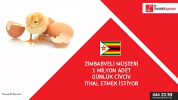 I’m in Zimbabwe I’m looking for 1 million day old chicks , in batches of 50 000