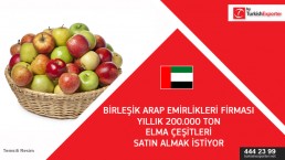 We are interested in apple 200000 TONS YEARLY