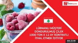 Lebanon – Looking for frozen strawberry to import to Germany
