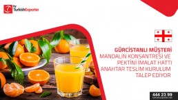 At the moment, my company is interested in launching a mandarin processing plant. This is a very interesting area in my region (Ajara, Batumi).