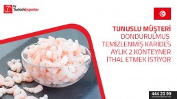 I need to know the Turkish companies that make frozen shrimp