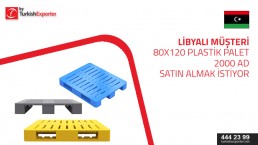 We need your products catalog Plastic Euro Pallets 2000 pieces
