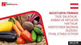 Seeking to find suppliers for fresh vegetables cucumber, zucchini, eggplants, on weekly basis