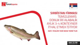 I AM INTERESTED IN IMPORTING THE TROUT FISH, IN LARGE QUANTITIES IN CONTAINERS AND LONG TERM CONTRACT, IF YOU HAVE THE OPTION PLEASE CONTACT ME.