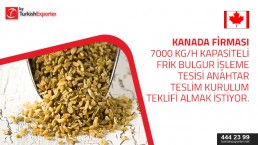 Freekeh processing plant to set up to Canada