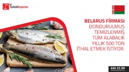 Enquiry for Trout to import to Belarus