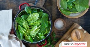 Gürcistanlı Firma, Türkiye’den Ispanak İthal Etmek İstiyor