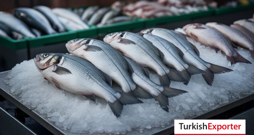 Kuveyt Şirketi, Dondurulmuş Levrek Tedarikçisi Arıyor