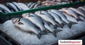 Kuveyt Şirketi, Dondurulmuş Levrek Tedarikçisi Arıyor