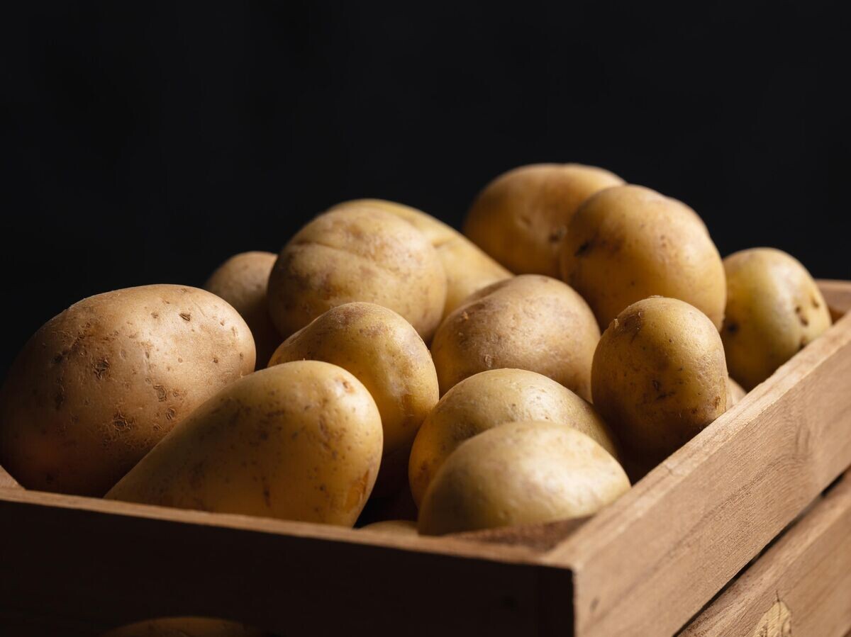 Rusya, Gürcistan’dan patates ithalatını durdurdu