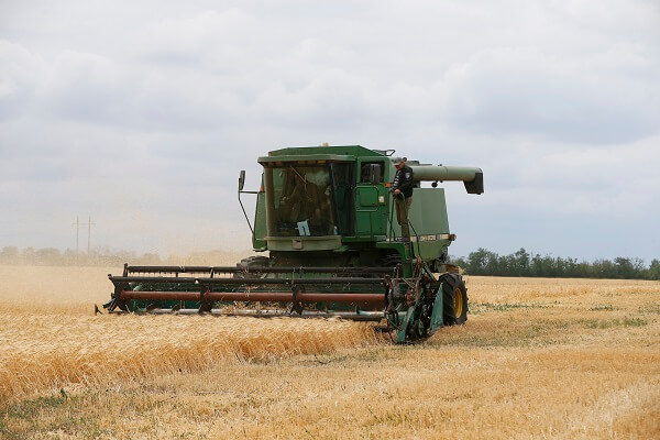 Rusya Buğday İçin Yeni Gümrük Vergisi Belirledi