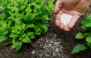 Rusya’nın Gübre İhracatı 7 Aylık Dönemde Yüzde 7 Arttı