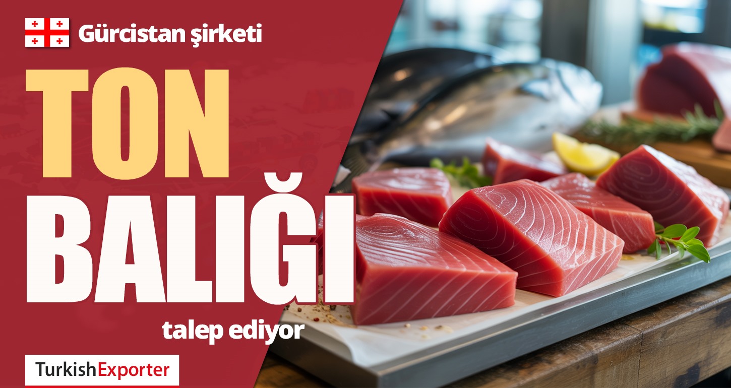 Gürcistan, Türkiye’den Ton Balığı Almak İstiyor