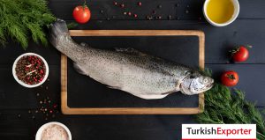 Hindistan Firması Temizlenmiş Gökkuşağı Alabalığı İthal Etmek İstiyor