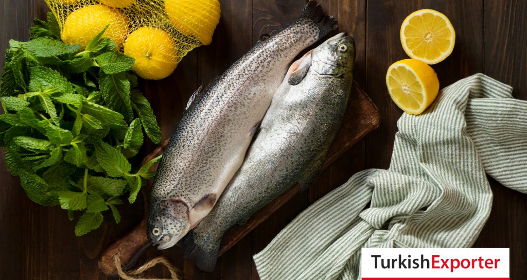 Rus Şirket, Türkiye’den Alabalık İthal Edecek